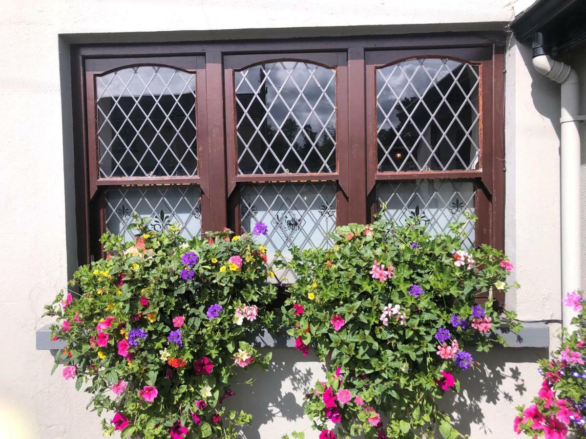 Chester Beatty Inn Ashford Exterior photo